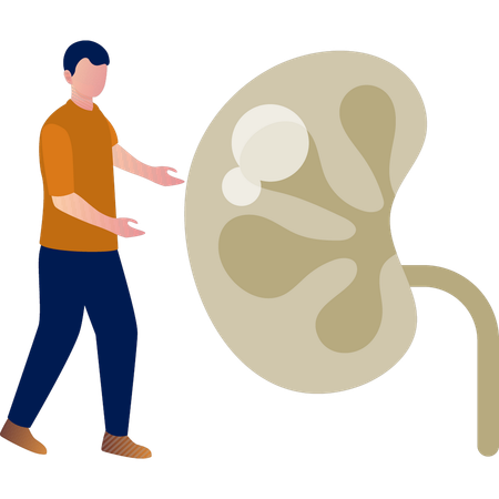 The boy is talking about kidney stone  Illustration