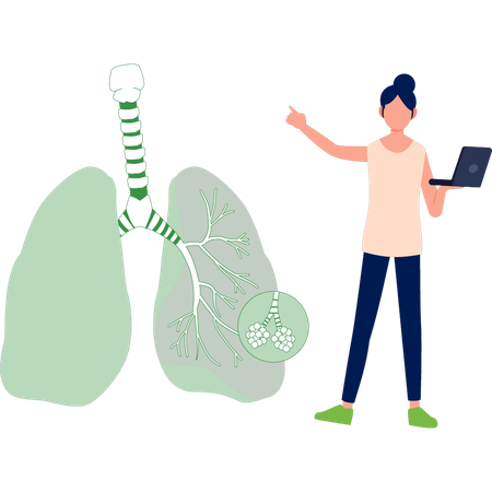 Woman explaining about lungs on laptop  Illustration